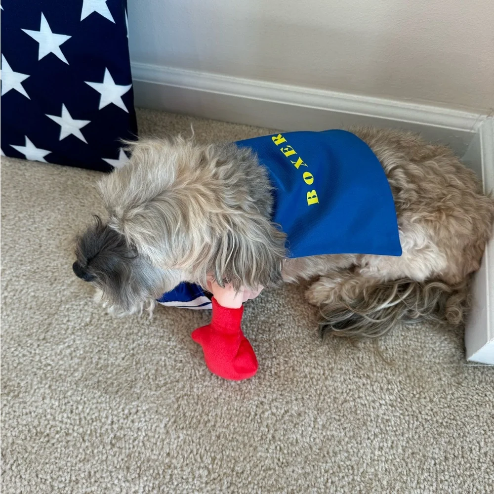 Dog Halloween Costume Rocky Boxer 3D Boxing Gloves for Small Dogs